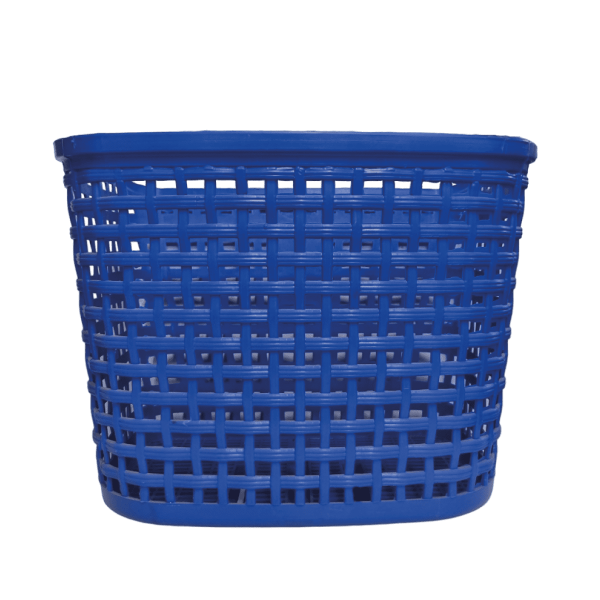 productos a escala tomaselli - 2 febrero 2024-05